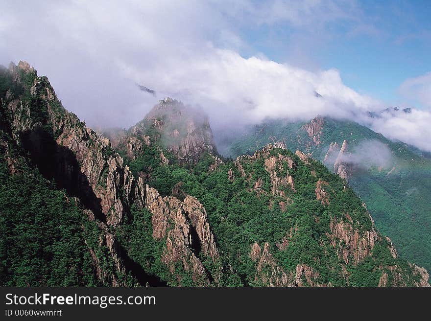 Trees over Mountain Details