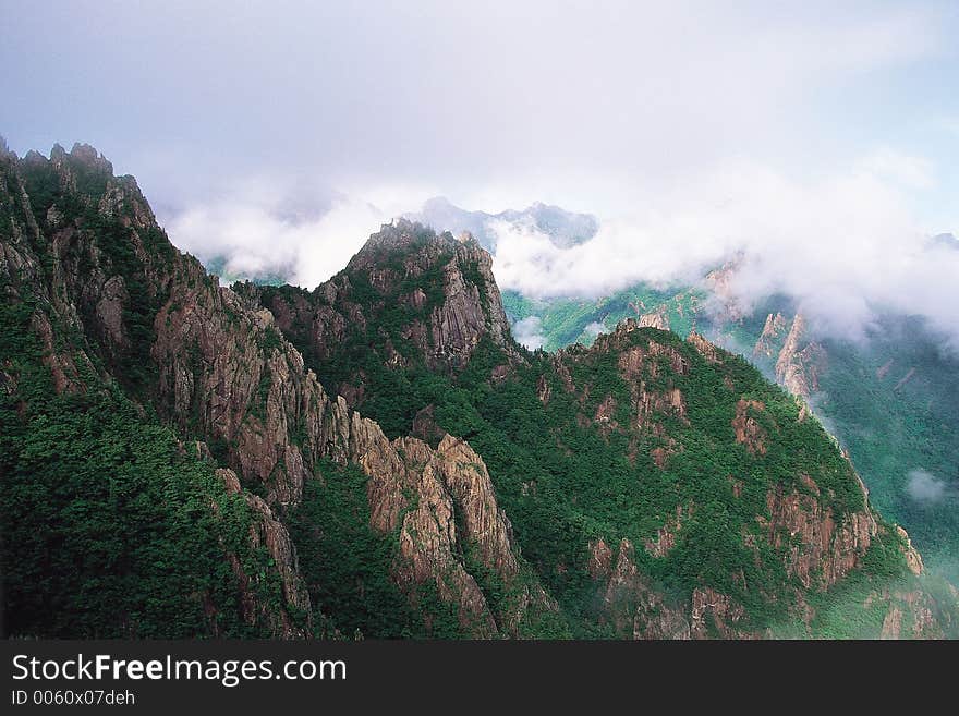 Mountain and Trees Details