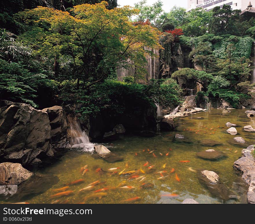 Trees and Fishes