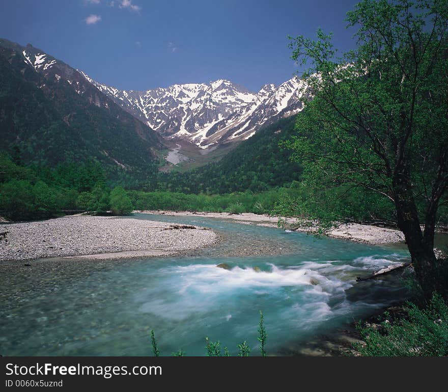 Forest and Mountain Details