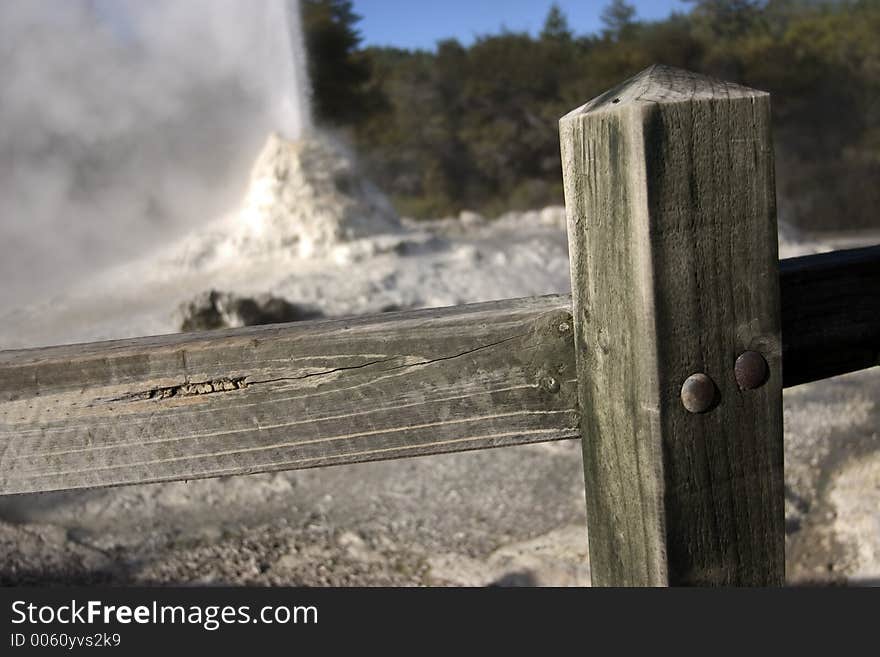 Whoosh! Eruption of Lady Knox geyser in Rotorua, New Zealand