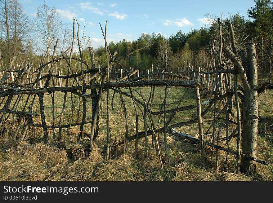 Crooked Wood Fence