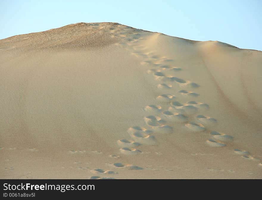 Footprints leading to the top of a sand dune