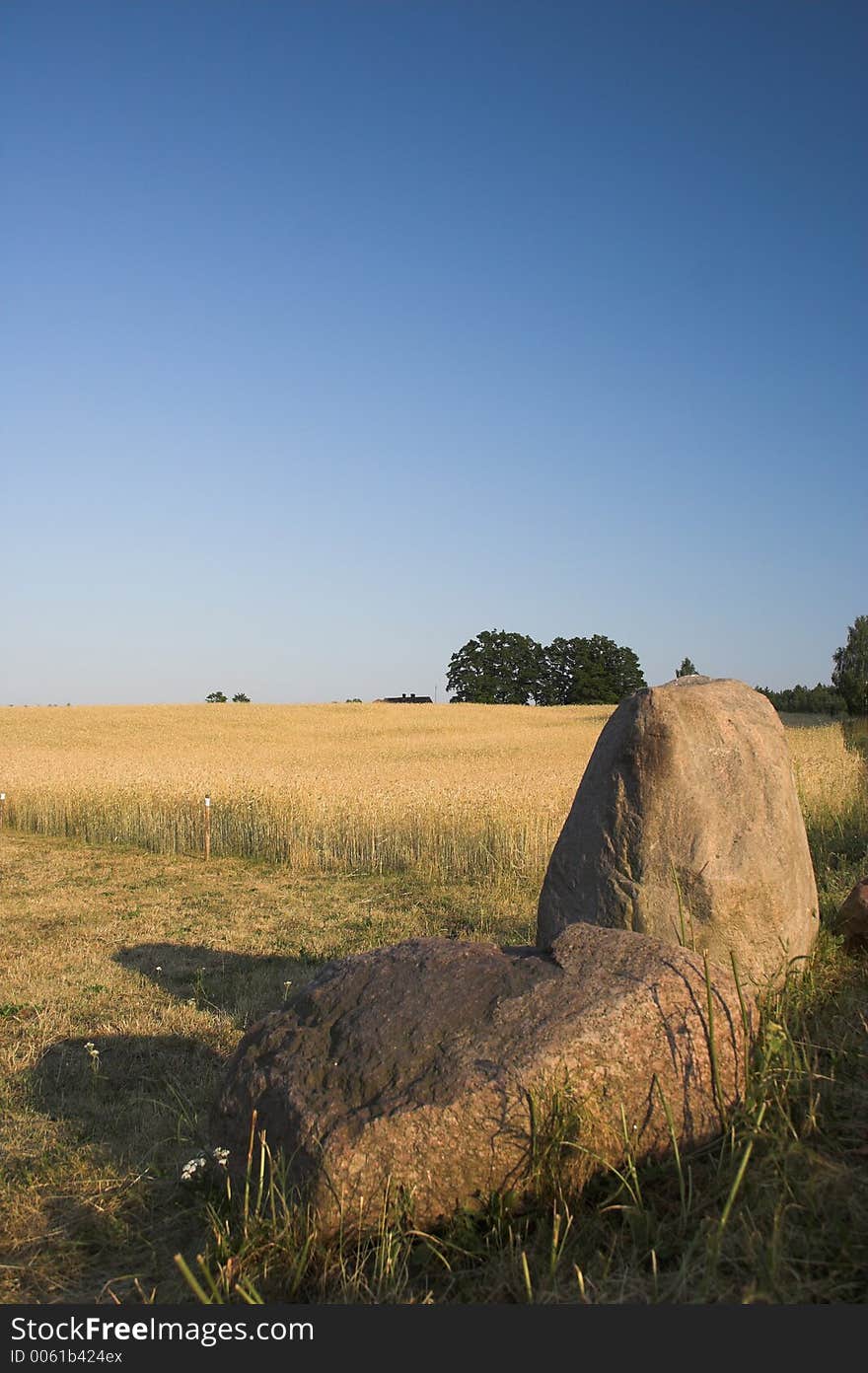 Summer landscape