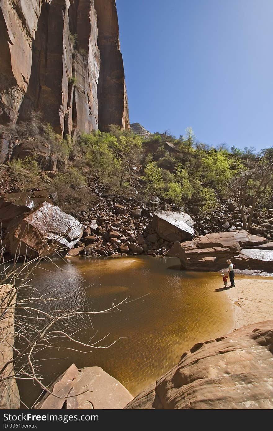 Upper emerald lake, Zion National Park, Utah, USA