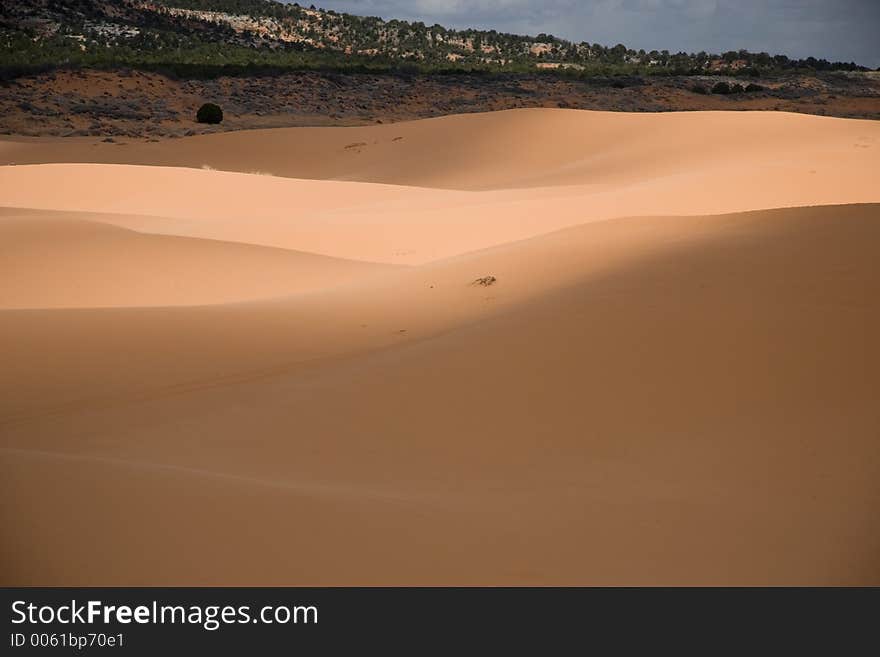 Sand dunes