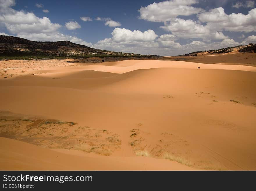 Dunes And Sky