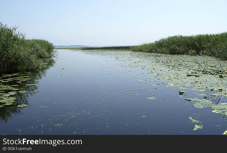 Skadar lake