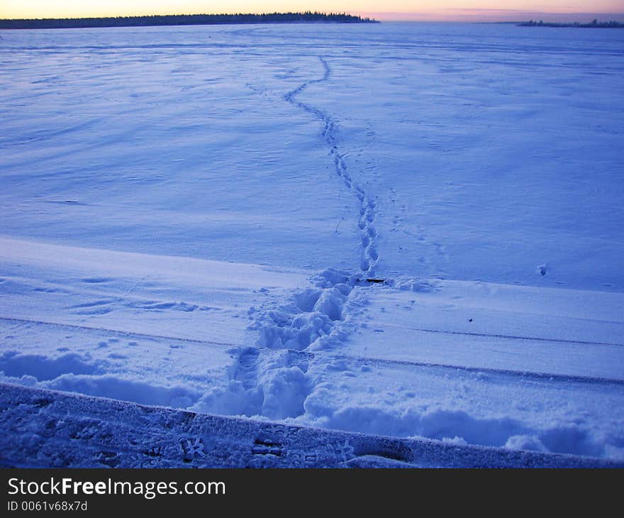 Walk On Ice