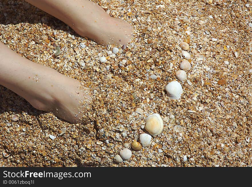 Feet and shells