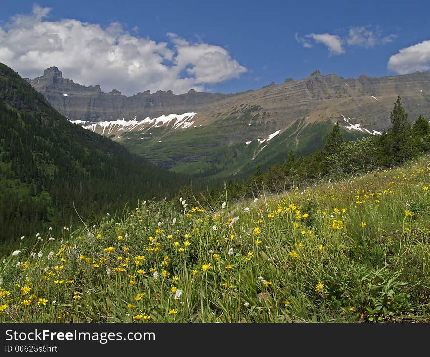 Flowery Meadow and Mountains