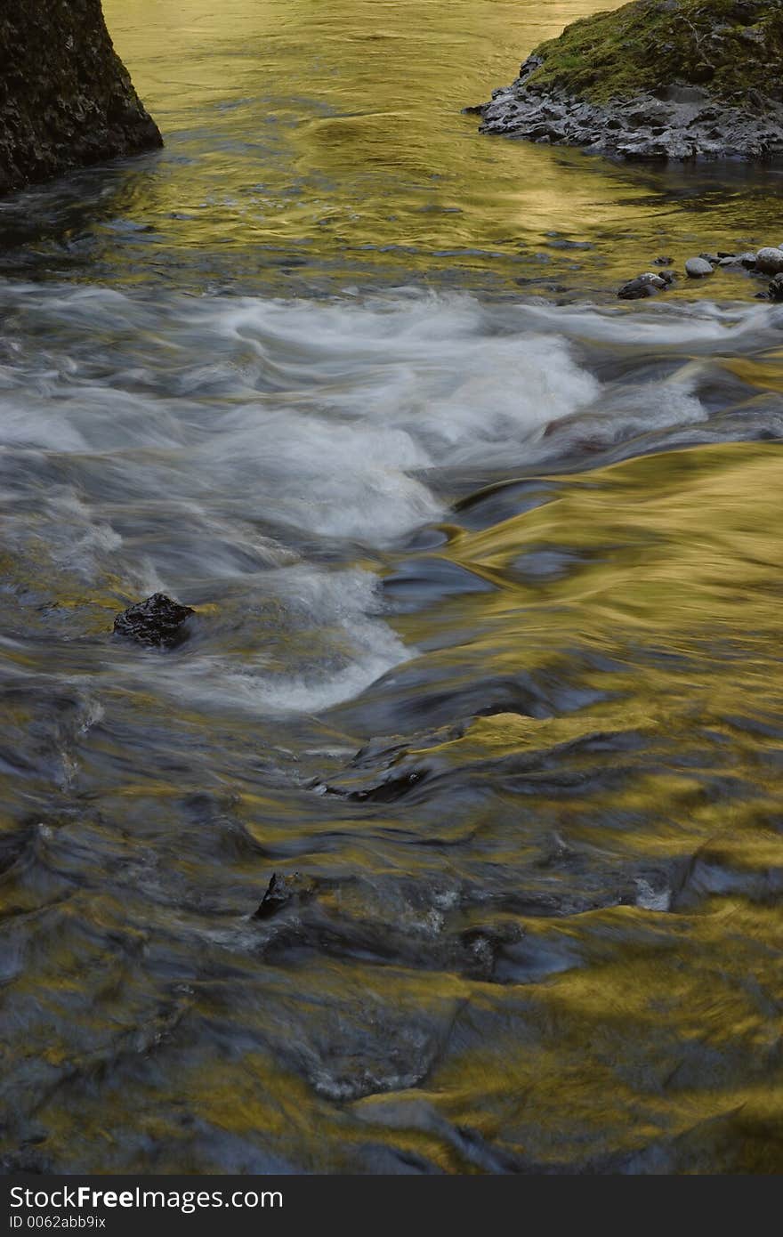 Golden Wahclella Creek in the Columbia River Gorge National Scenic Area