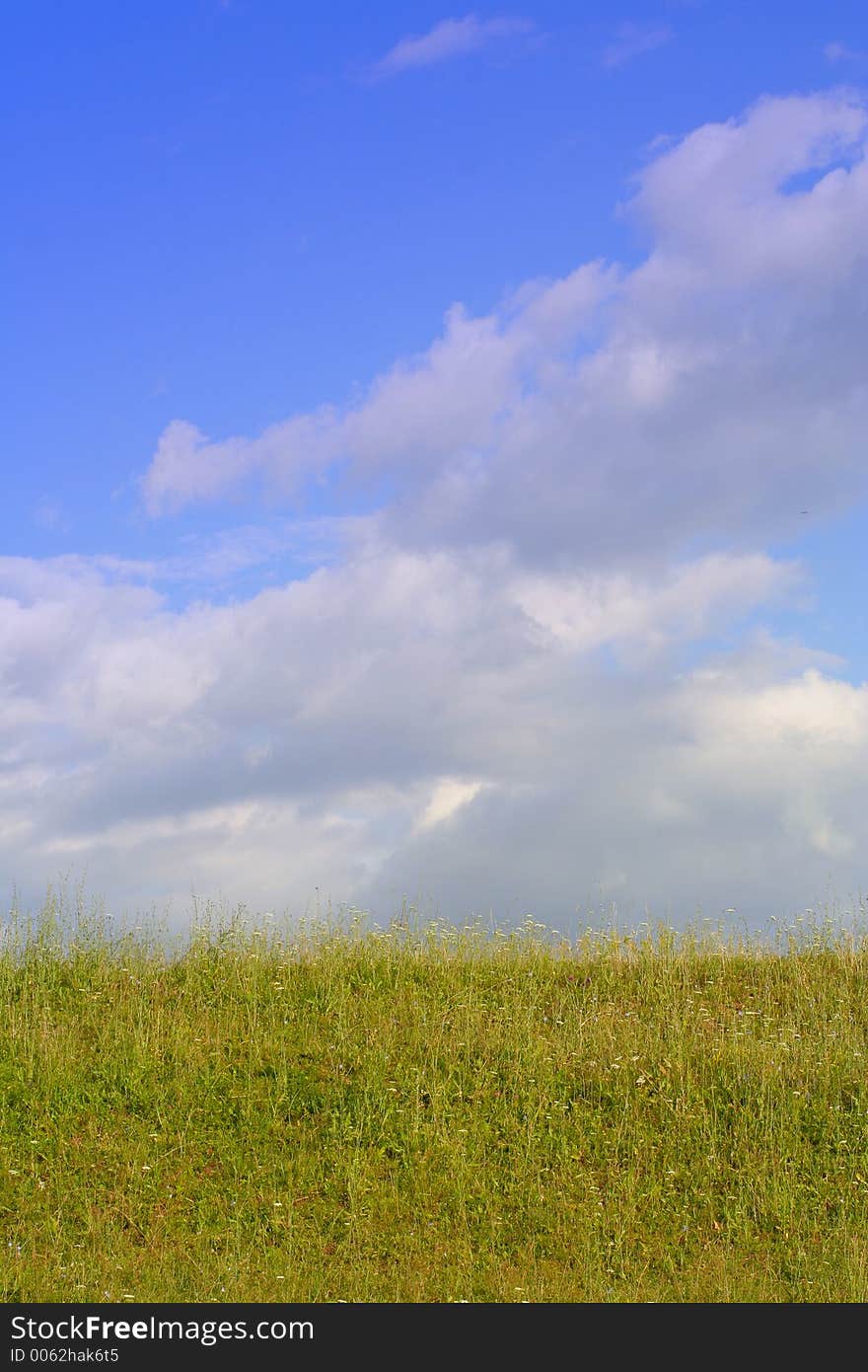 Sky & Grass