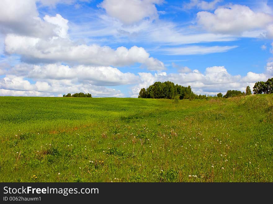 Summer landscape