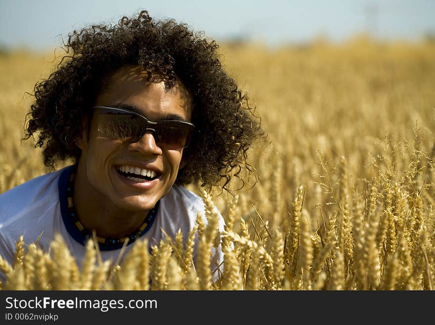 Cool guy sitting in a cornfield. Cool guy sitting in a cornfield