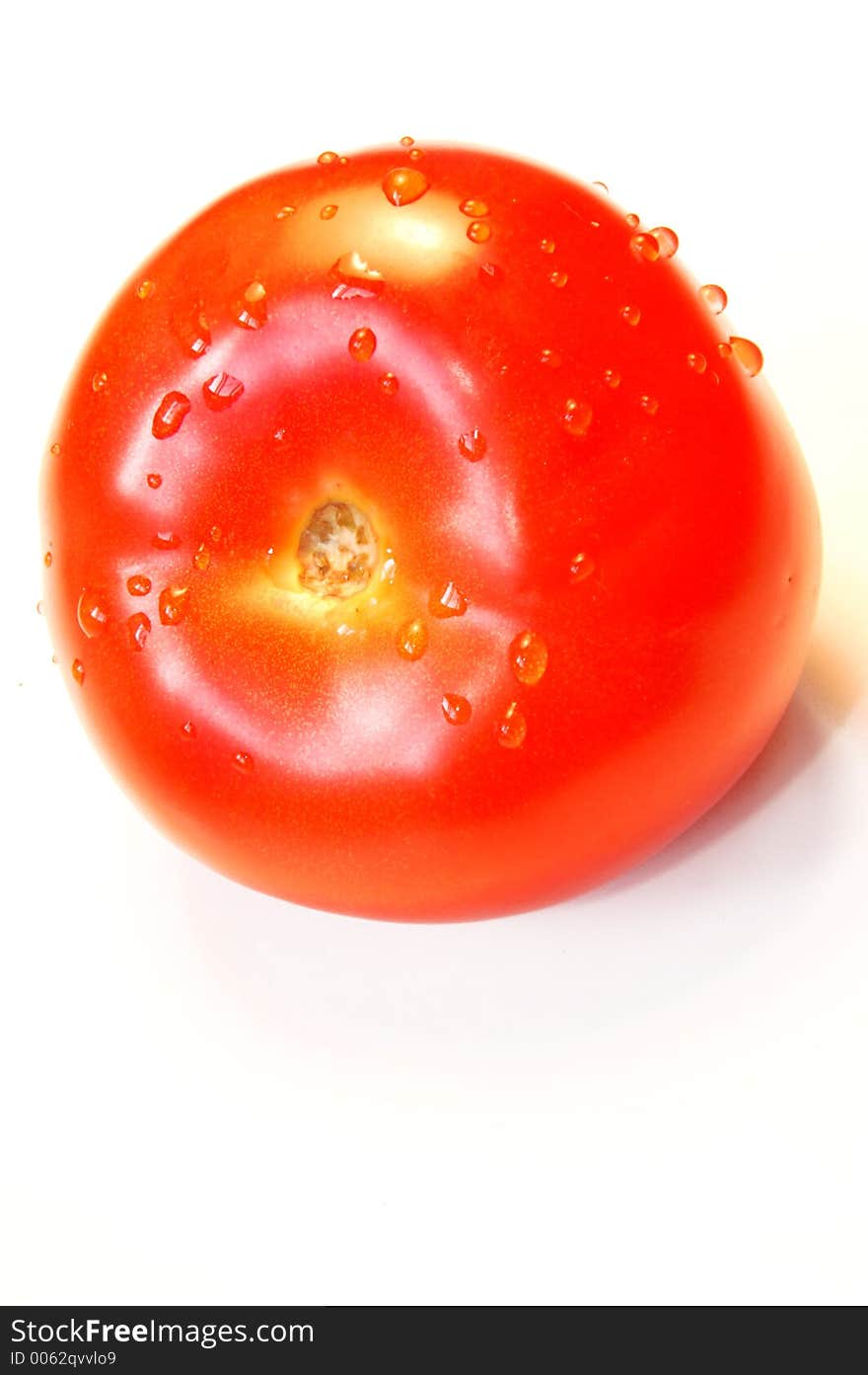 Tomato