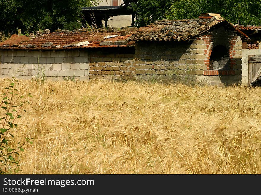 Stone oven in field