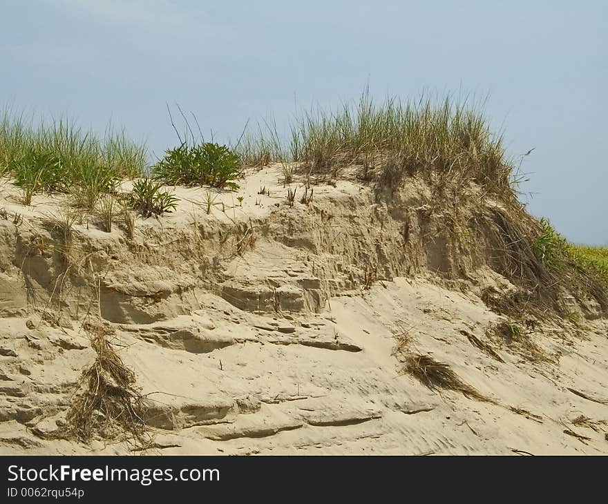 A sand-dune along the Jersey Shore. A sand-dune along the Jersey Shore.