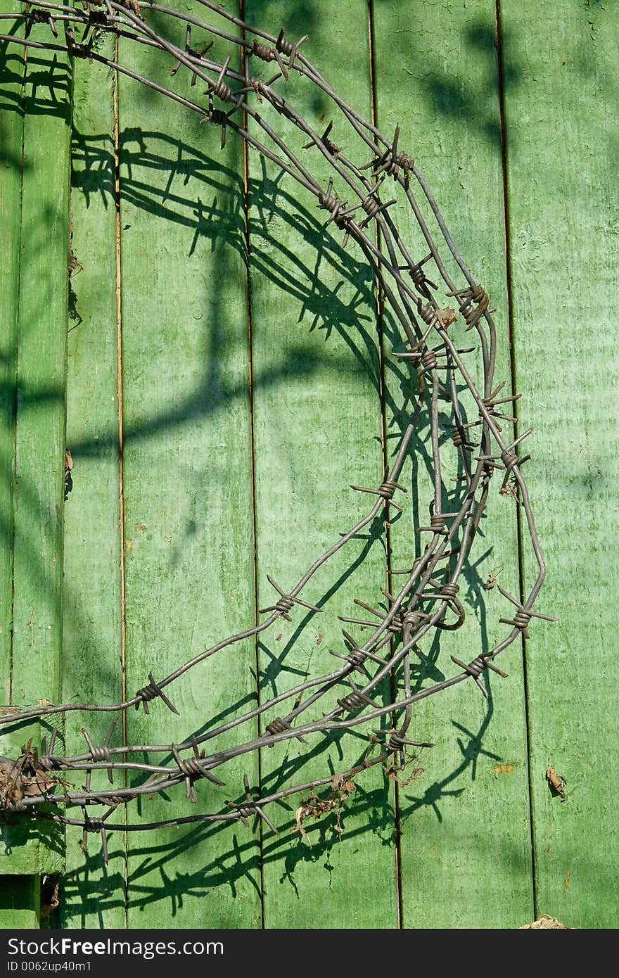 Hank of barbed wire on a green wall