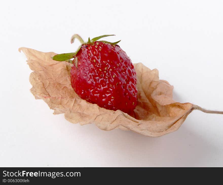 Berry and dry leaf