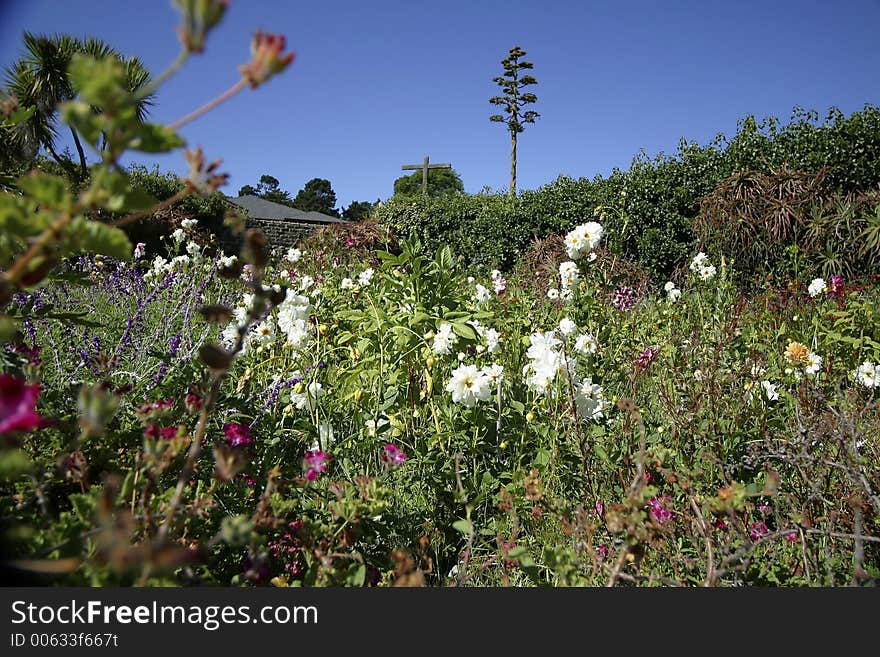 Summer flower bed