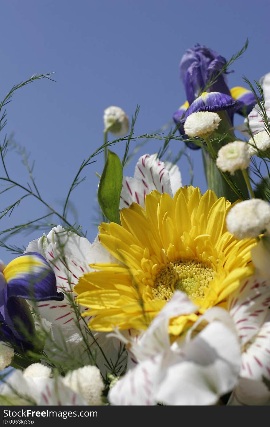 Bouquet of flowers on the background of the blue sky