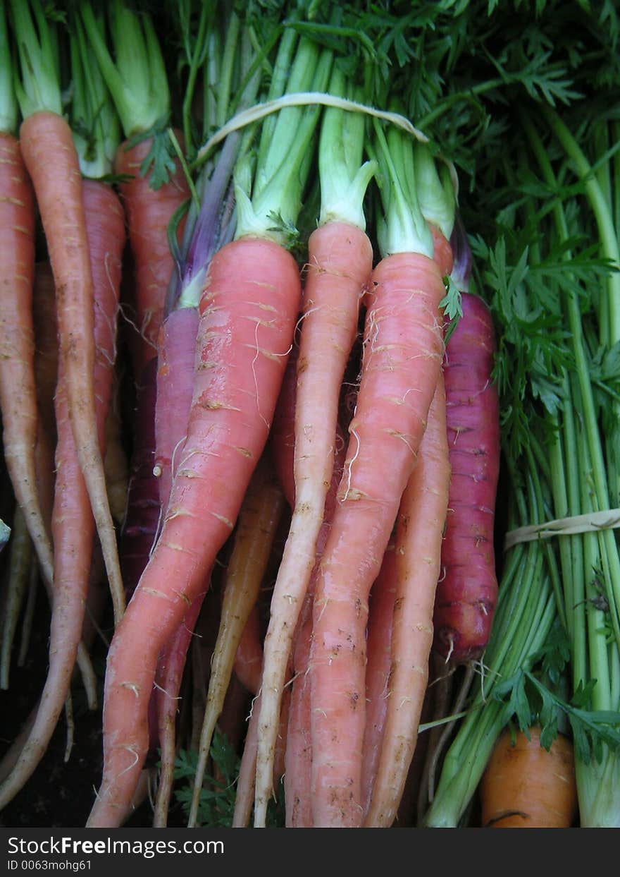 Multiple Carrots bunch