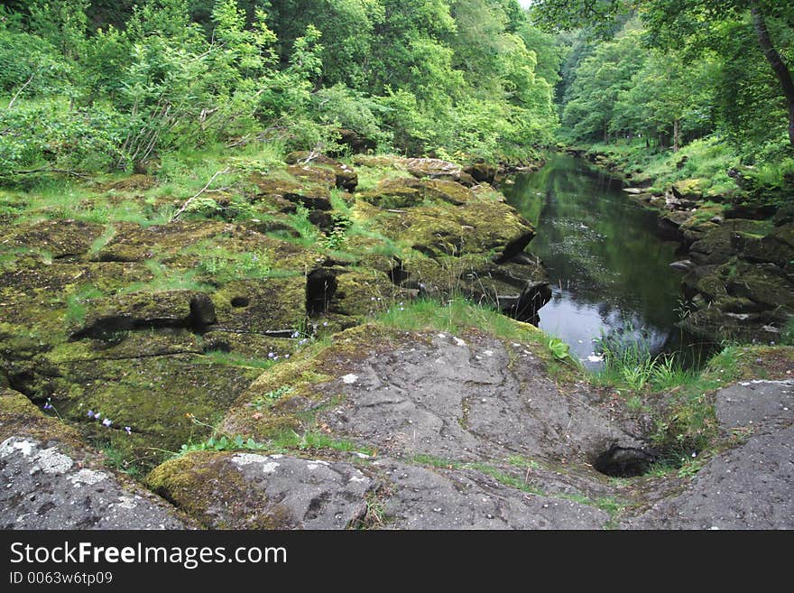 Idylic River Scene