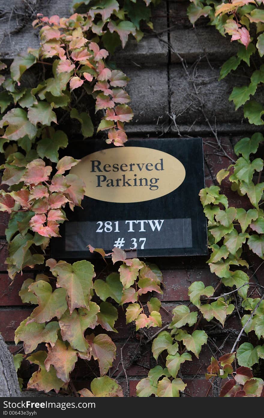 Reserved parking sign and ivy on a brick wall