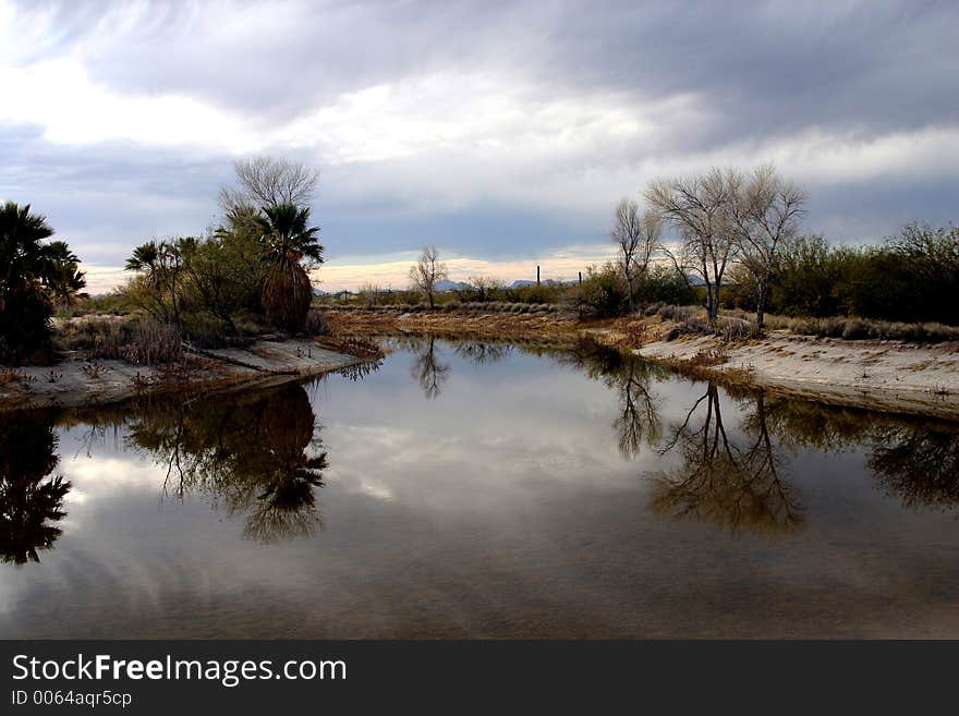 Pond