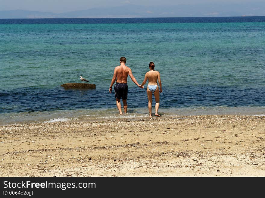 Couple and sea gull