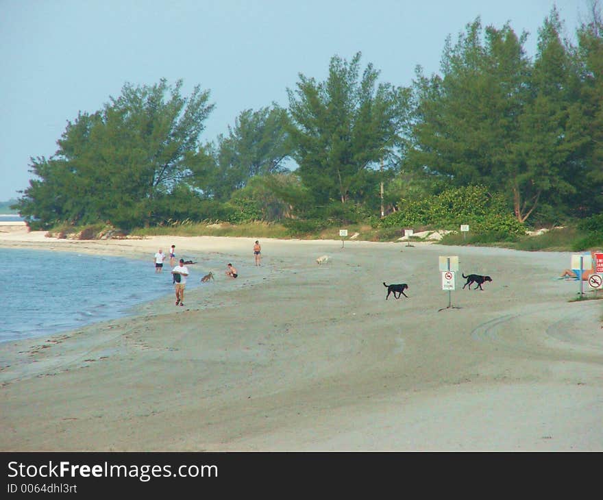 These folks enjoy a day at the beach at Fort Desoto State Park, St Petersburg, FL.