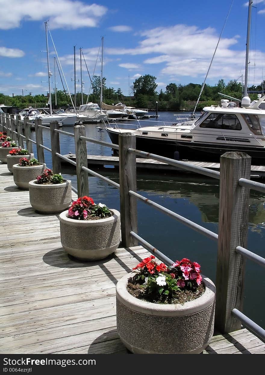 Flowes on the dock