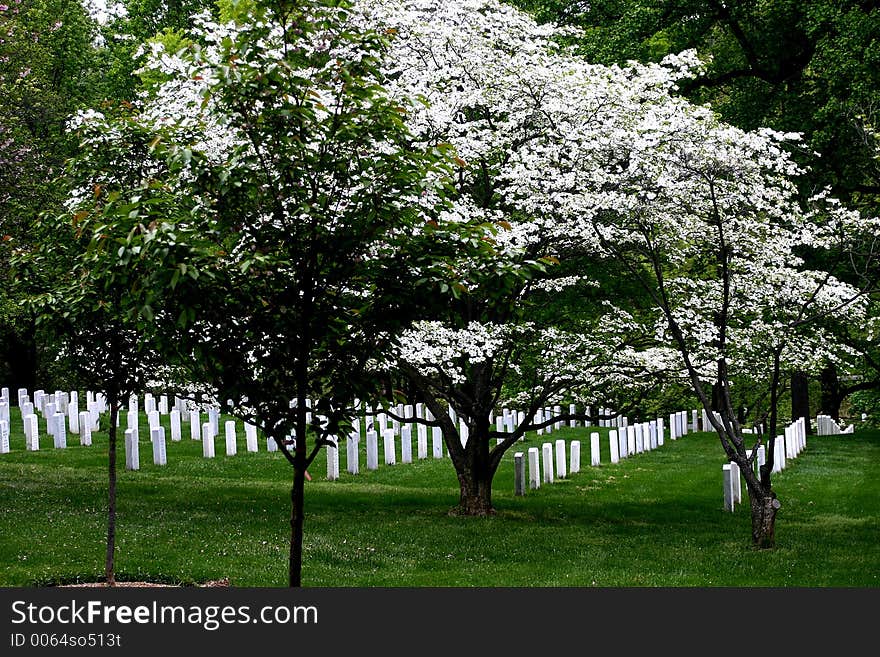 Arlington National Cemetery