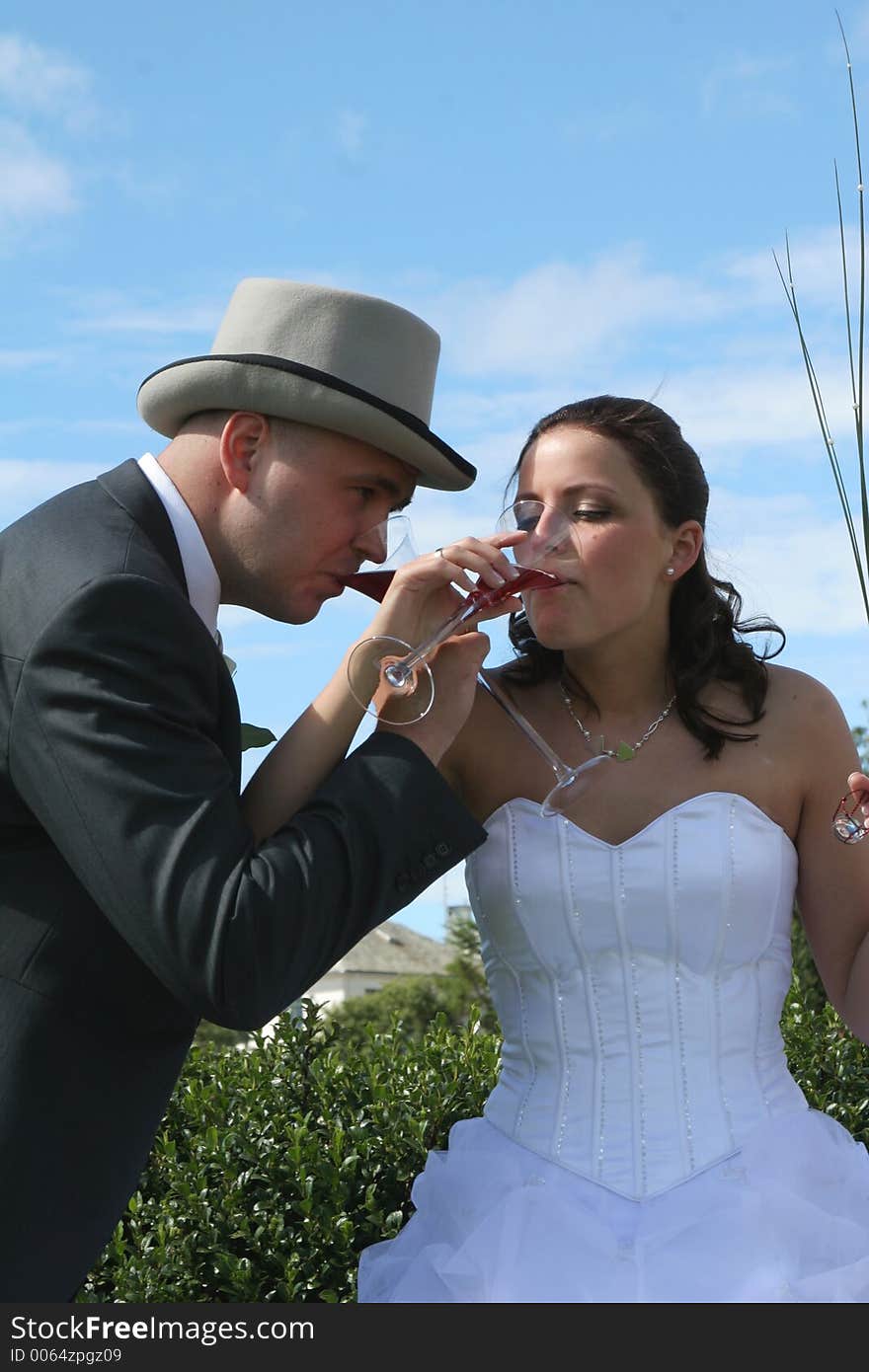 A wedding, toasting and drinking bubbly wine outside in sunny weather, against a clear blue sky. A wedding, toasting and drinking bubbly wine outside in sunny weather, against a clear blue sky