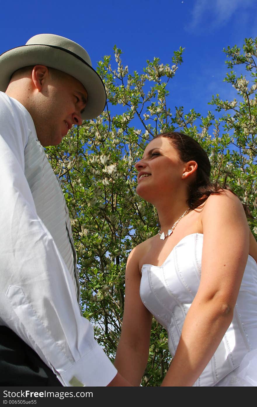 Bride and groom holding hands and looking at each other, clear blue sky in backgroun and trees. Bride and groom holding hands and looking at each other, clear blue sky in backgroun and trees