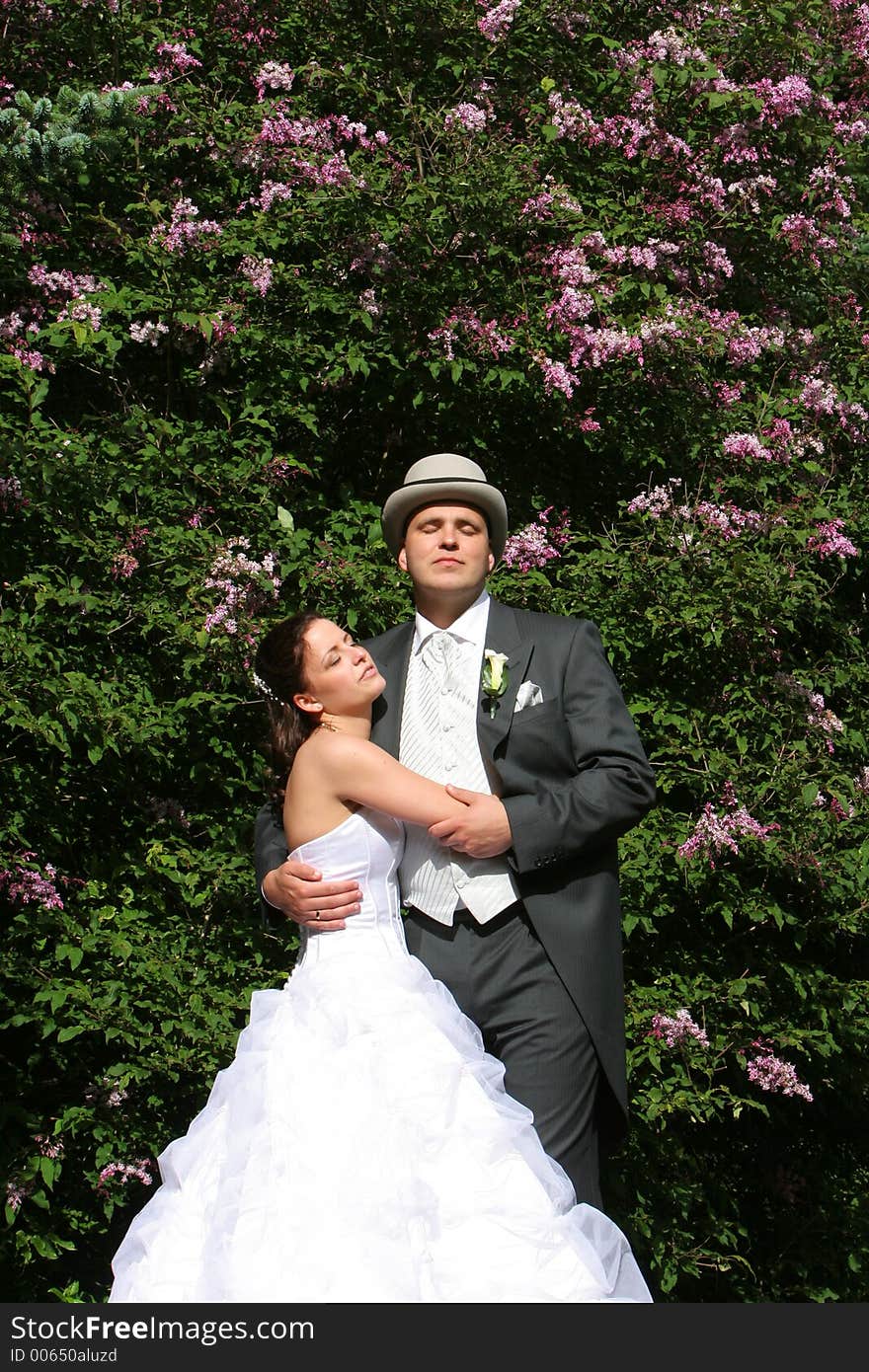 Just after the wedding, bride and groom standing in front of flowering tree in bright sunlight. Just after the wedding, bride and groom standing in front of flowering tree in bright sunlight