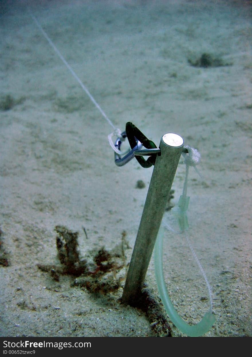 A market attached to a long line for underwater research. A market attached to a long line for underwater research