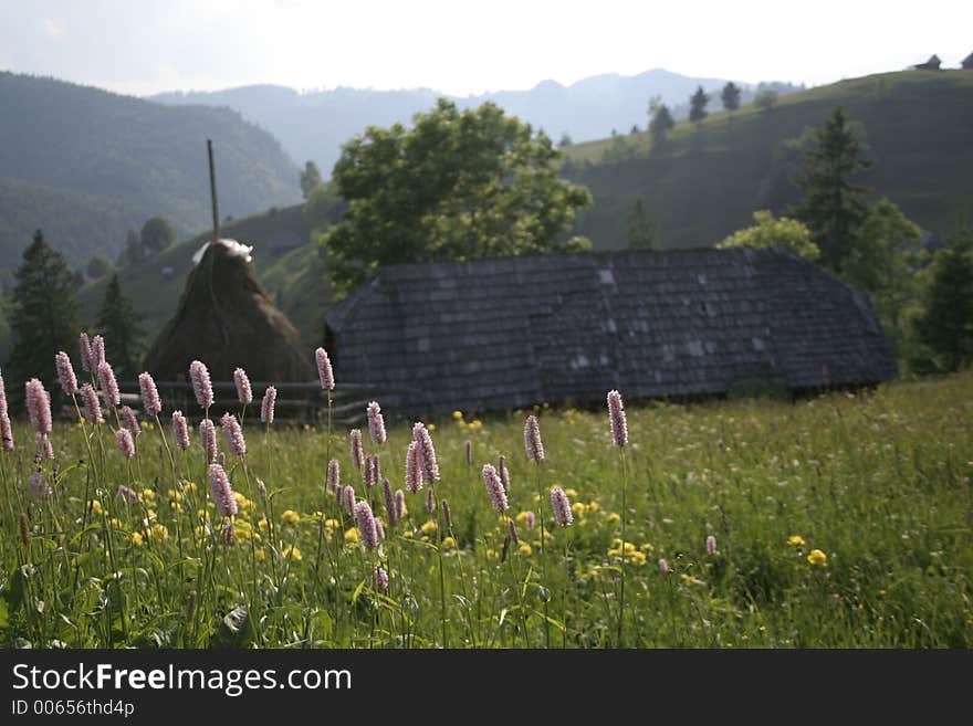 Typical Romanian Mountain Landscape with red flowers in summer time. Typical Romanian Mountain Landscape with red flowers in summer time