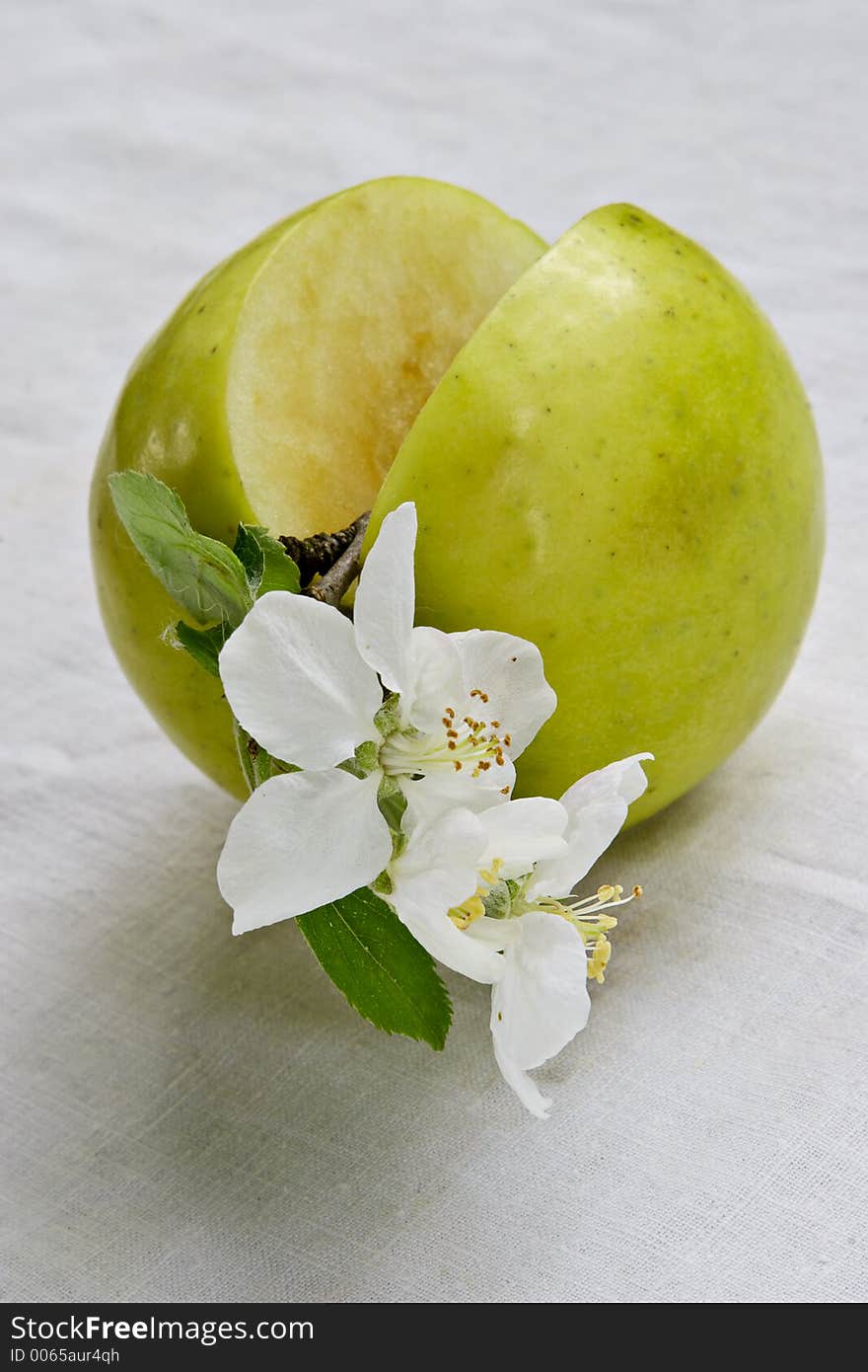 The green apple is very vitamin-rich, especially if itself grow up crop. The green apple is very vitamin-rich, especially if itself grow up crop