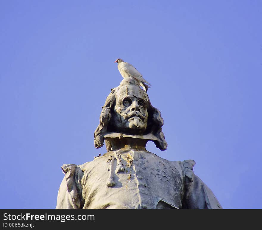 A dove on the head