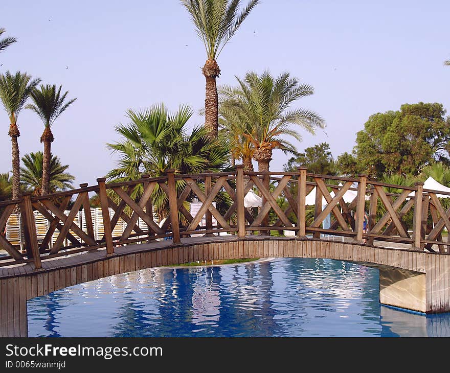 Palm trees around swimming pool. Palm trees around swimming pool