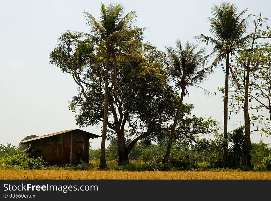 Makeshift shelter in the middle of a field. Makeshift shelter in the middle of a field