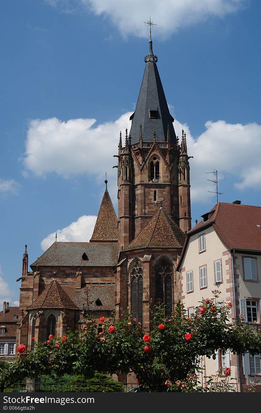 Rosebushes grow around the old gothic church at Wissembourg in the Alsace region of France. Rosebushes grow around the old gothic church at Wissembourg in the Alsace region of France.