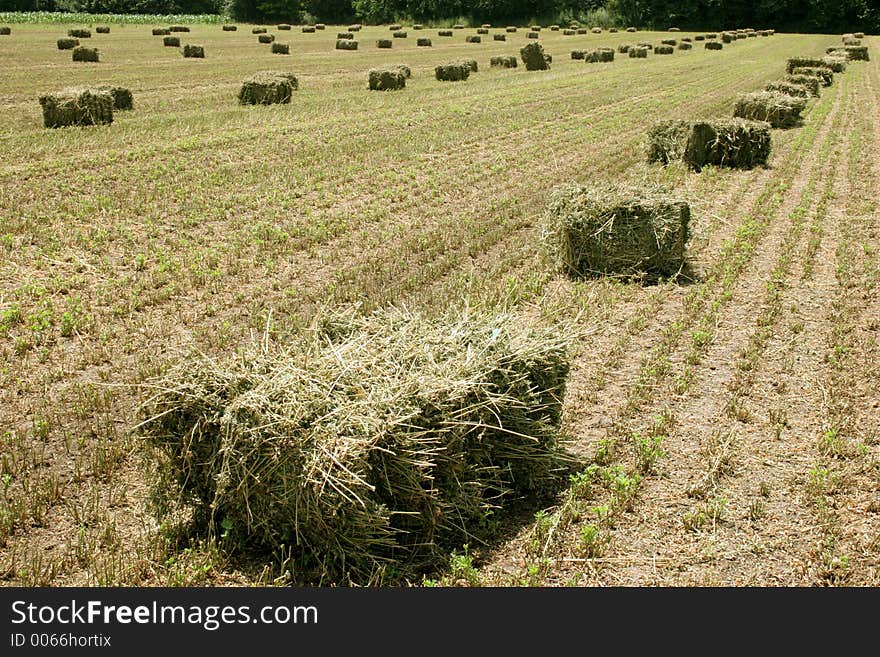 Straw at acre