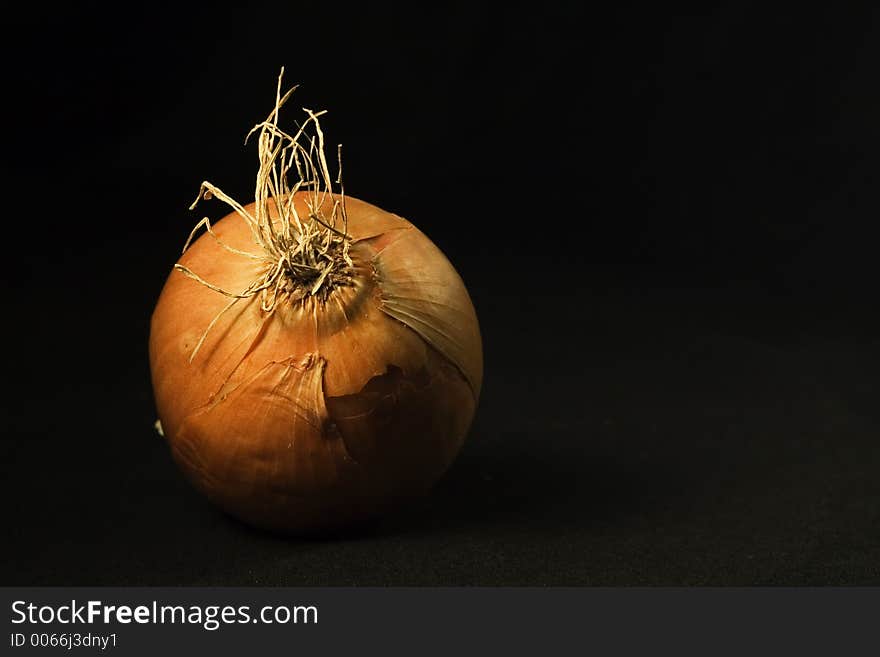 Close-up of a onion in black background. Close-up of a onion in black background