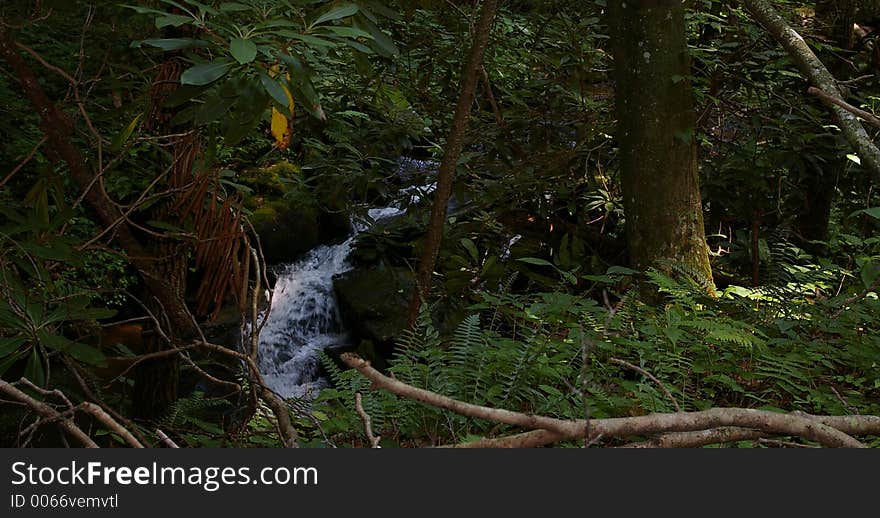 Hidden Waterfall