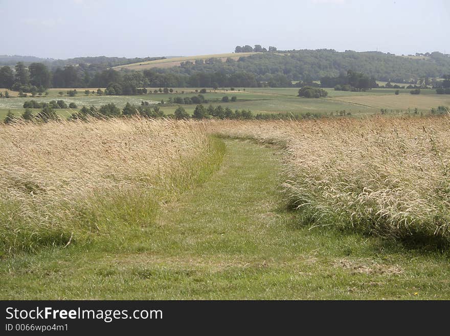 Scene at English country estate. Scene at English country estate