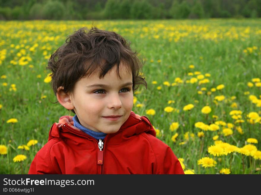 Spring day. Game on a meadow with dandelions. Spring day. Game on a meadow with dandelions.