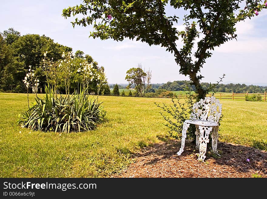 Lawn chair under tree